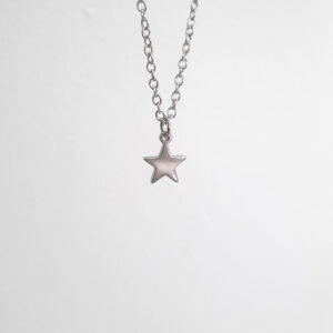 Colgante con forma de estrella de acero inoxidable