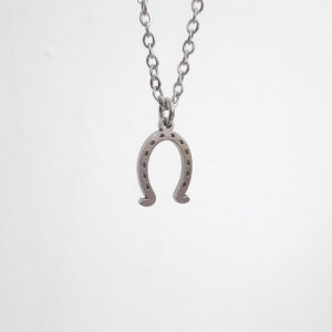 Colgante con forma de herradura de acero inoxidable